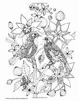 Coloring Birds Pages Adult Two Bird Adults Books Printable Drawing Animals Animal Mandala Valentina Harper Book Coloriage Colouring Wise Print sketch template