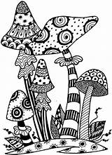 Zentangle Mushroom Toadstools Zentangles Doodling Zendoodles Aquarelle Dixie Bw2 Raile sketch template