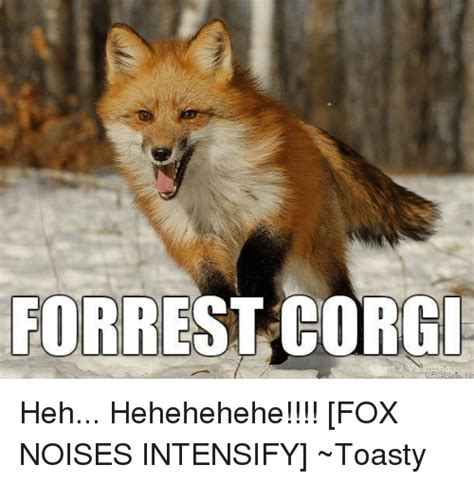 search fox meme memes on me me