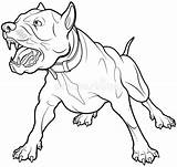 Barking Dog Bull Illustration Terrier Coloring sketch template