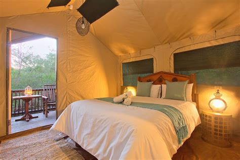 safari tented room kruger adventure lodge