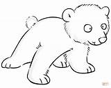 Colorear Oso Bebes Ositos Ourson Bonito Bears sketch template