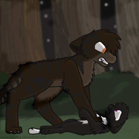 Tigerclaw And Ravenpaw Redone By Diets0da On Deviantart