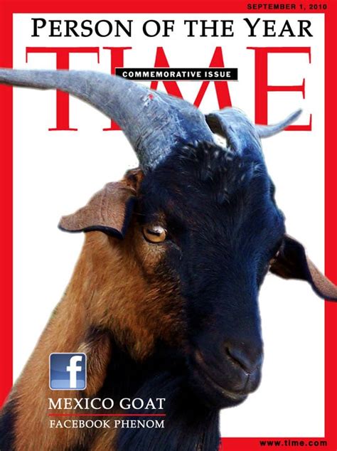 meet  mexico goat missouris latest animal celebrity news blog