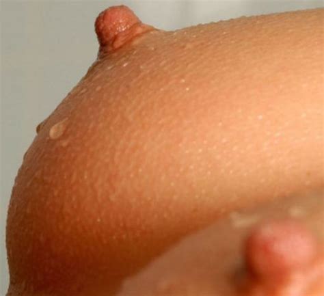 nipple sexy amazing nipples goose bumps wet and messy close up perfect tits erect nipples image