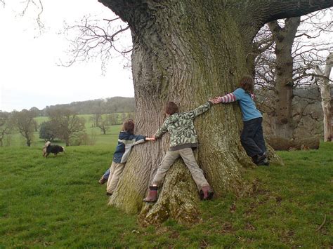 The Fascinating History Of Tree Huggers Alternet