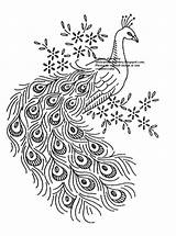 Peacock Pattern Embroidery Outline Drawing Patterns Vintage Hand Designs Printable Spice Broderie Template Sketch Everything Nice Peacocks Crewel Drawings Tattoo sketch template