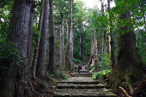 kumano kodo pilgrimage trails zooming japan