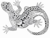 Zentangle Mandalas Gecko Boyama Malvorlagen Abstrakt Zentangles Geckos Animales Paisley Abstrakte Antistress Coccia Salamandre Besuchen Creativity Wrhs Raskrasil Calismasi Desenleri sketch template