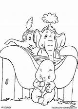 Coloring Dumbo Pages Book sketch template