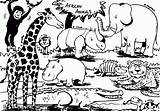Coloring African Animals Pages Library Safari Printable Animal Popular sketch template