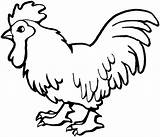 Rooster Coloring Proud Printable Chicken Categories Clipart sketch template