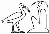 Ibis Scarlet Coloring Pages Color Animals Drawings Printable sketch template