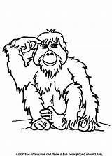 Orangutan Coloring Pages Crayola Orangutans Color Cartoon Animal Print Printable Au Visit Animals sketch template
