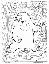 Coloring Pages Mammals Sun Bear Printable Mammal Clipart Line Library Preschool Animal Book Popular sketch template