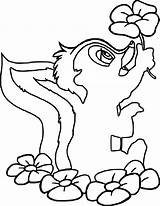 Flower Coloring Pages Bambi Skunk Wecoloringpage sketch template