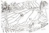 Rice Drawing Field Fields Drawings Paintingvalley ã Từ Lưu sketch template