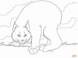 Lynx Coloring Pages Bobcat Canada Colorings Kids Canadian Archaicawful Drawing Skip Main Getcolorings Popular Library Getdrawings sketch template