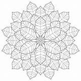 Coloring Pages Mandala Mandalas Poinsettia Fractal Flowers Pattern Shala Kerrigan Printable Snowflake Adult Flower Patterns Book Friday December Posted Ausmalbilder sketch template