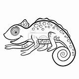 Colorare Chameleon Kolorowanki Kameleon Camaleonte Animali Zwierzeta Dzikie Bambini Kameleony Piccoli Animals Toad Fototapeta Colorier Salvajes sketch template