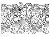Coloring Seashell Pages Printable Kids Color Getdrawings Getcolorings Ones Pick Enjoy Without Some Set Time sketch template