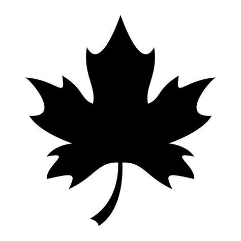 maple leaf vector art icons  graphics