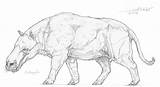 Andrewsarchus Blacki Kaek Gigantopithecus Mammals sketch template