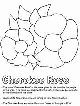 Cherokee Rose Coloring Indian Symbols State Ws Drawing Georgia Kid Kidzone Zone Native American Getdrawings Printables States United Sheets Visit sketch template