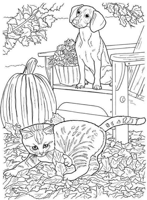 cat  dog coloring page dog coloring book cat coloring page cat