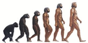 evolution understanding context