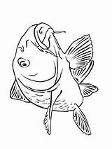 Carp Coloring Pages Recommended sketch template