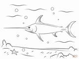 Ausmalbilder Schwertfisch Swordfish sketch template