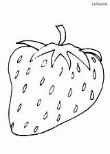 Erdbeere Ausmalbild Strunk Obst Stalk Erdbeeren sketch template