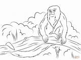 Monkey Coloring Tree Pages Howler Sitting Drawing Drawings Printable sketch template