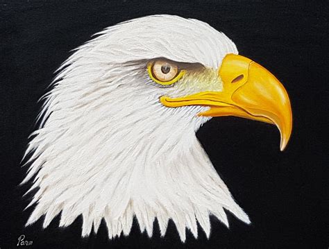 polite bald eagle oil  canvas