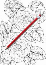 Coloring Botanicum sketch template