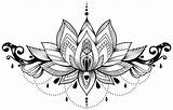 Mandala Lotus Drawing Flower Mandalas Tattoo Henna Designs Nelumbo Nucifera Drawings Clipart Paintingvalley Freepngimg Choose Board sketch template