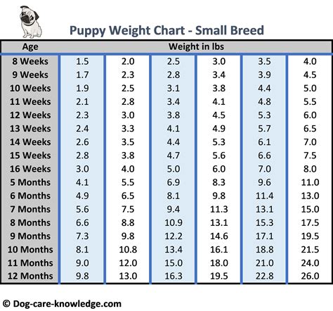 month  puppy weigh