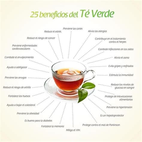 25 Beneficios Del Te Verde Canpainutricionortomolecular