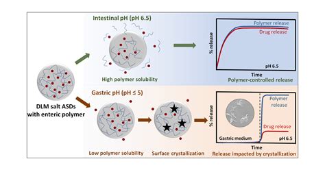 Impact Of Gastric Ph Variations On The Release Of Amorphous Solid