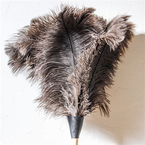 cm ostrich feather duster  arthur