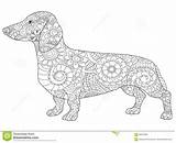 Coloring Zentangle Dachsund sketch template