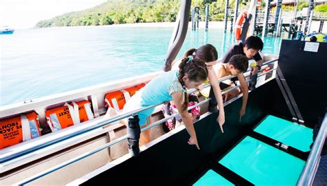 Glass Bottom Boats Tours Of The Reef Cairns And Great Barrier Reef