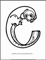 Cuscus Coloring Alphabet Sounds Beginning Books 33kb sketch template