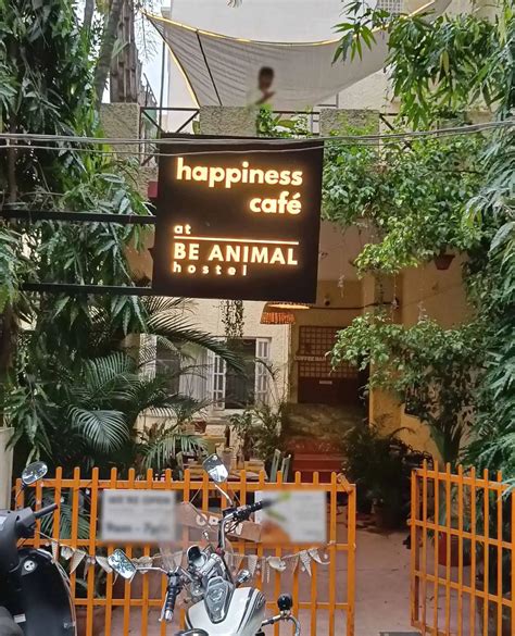 happiness cafe koramangala  block bangalore zomato