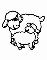 Sheep Lamb Coloring Lion Pages Outline Drawing Clipart Color Realistic Printable Clip Cliparts Getdrawings Clipartmag Getcolorings Print March Library Popular sketch template