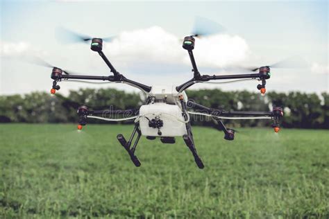 agriculture drone spraying water  pesticides  grow  green field stock image image