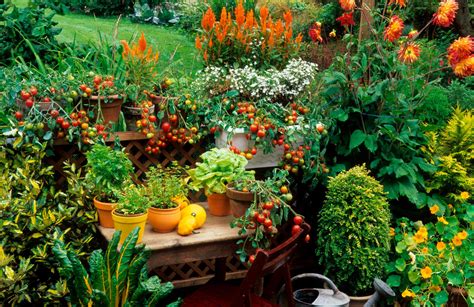 garden patio ideas kellogg garden organics