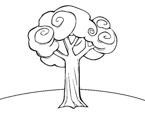 large tree coloring page coloringcrewcom