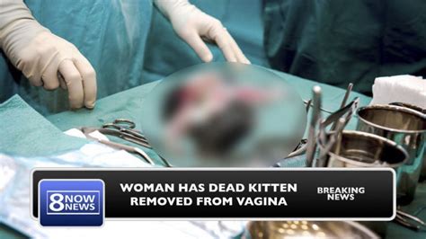 woman has dead kitten removed from vagina i just wanted